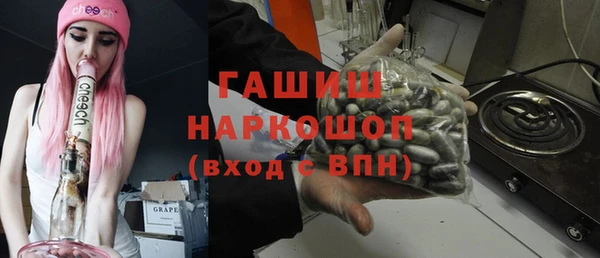 spice Богородицк