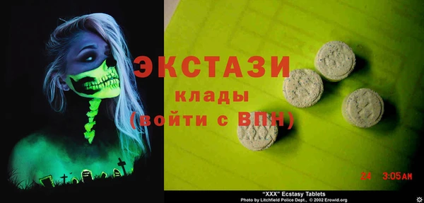 spice Богородицк