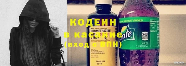 spice Богородицк