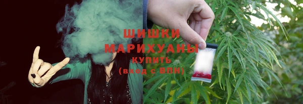 spice Богородицк