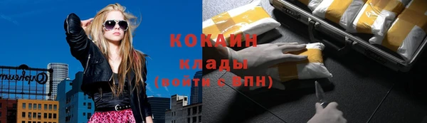 МДПВ Богородск