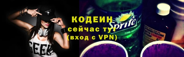 spice Богородицк