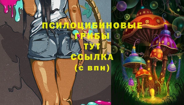 МДПВ Богородск
