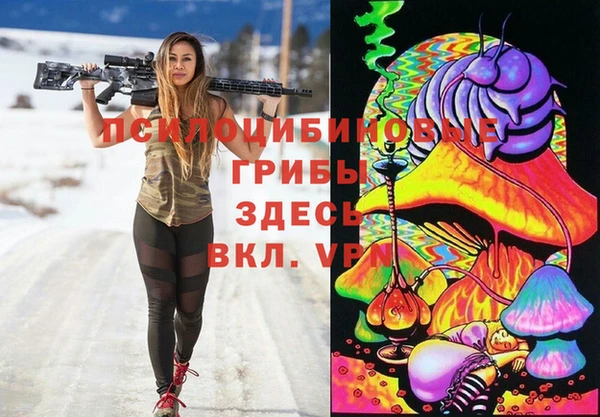spice Богородицк
