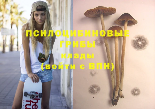 spice Богородицк