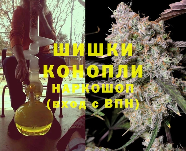 МДПВ Богородск