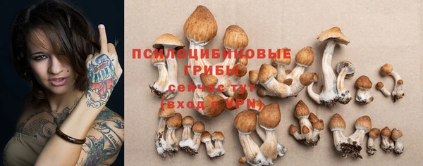 МДМА Богданович