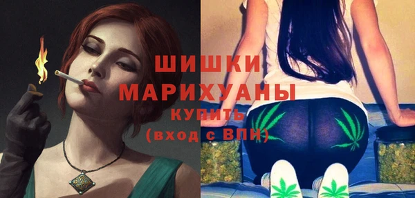 spice Богородицк